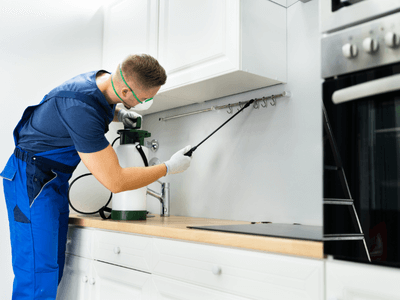 About Mosquito Fogging Gulf Breeze - mosquito fogging experts in Gulf Breeze